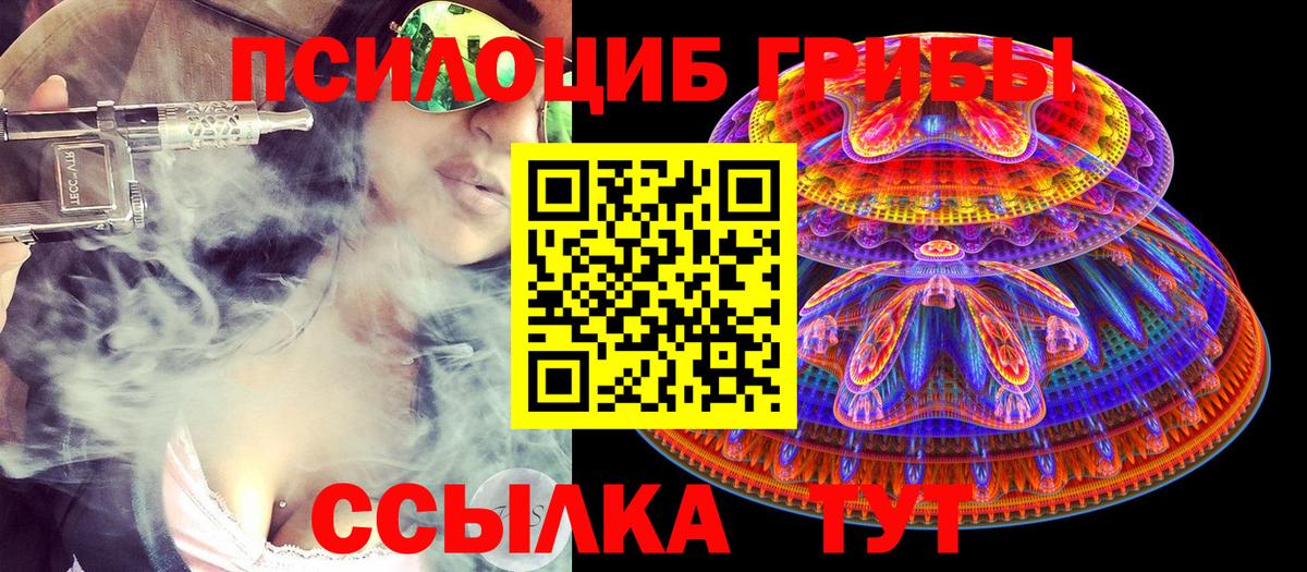 Галлюциногенные грибы Cubensis  купить   Мариинск  Вход с VPN 